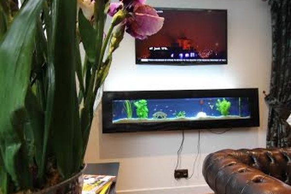 Oatlands-Dental-Lounge