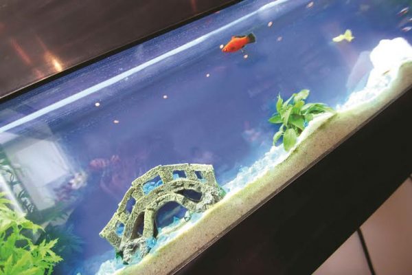 Oatlands-Dental-Lounge