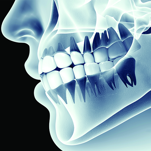 Patient Photo - Oatlands Dental Lounge