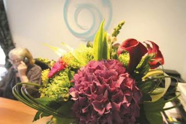 Oatlands-Dental-Lounge